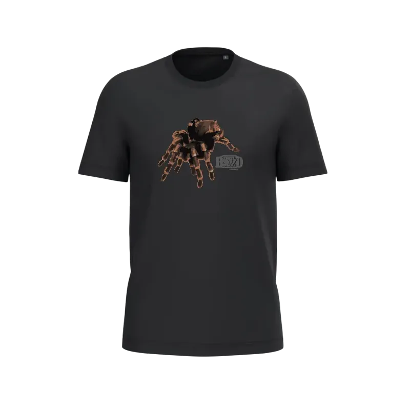 Tee Shirt Bio Enfant Araignée Halloween Fort Boyard